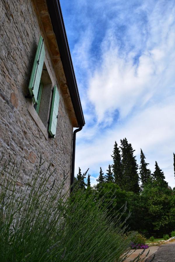 Cottage Al Merlo Olivo Buje Exterior foto